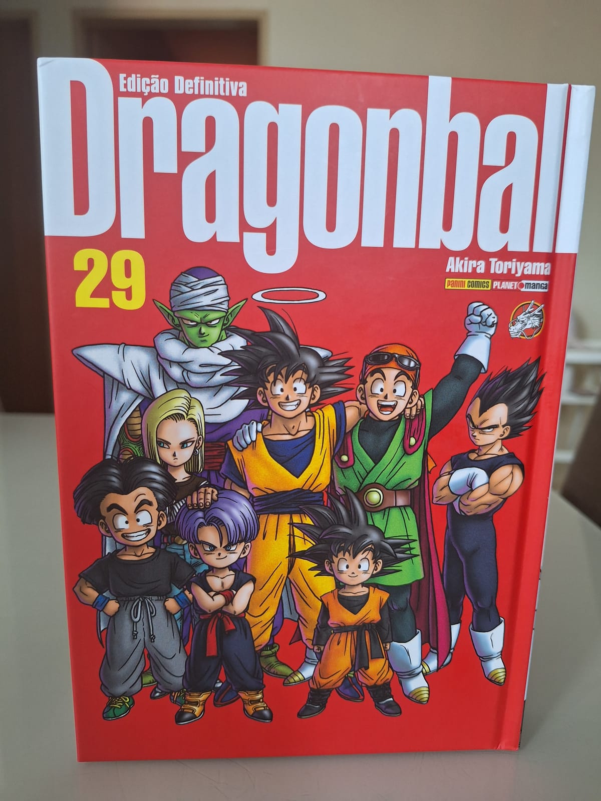 Dragon Ball Vol 29  - Edição Definitiva