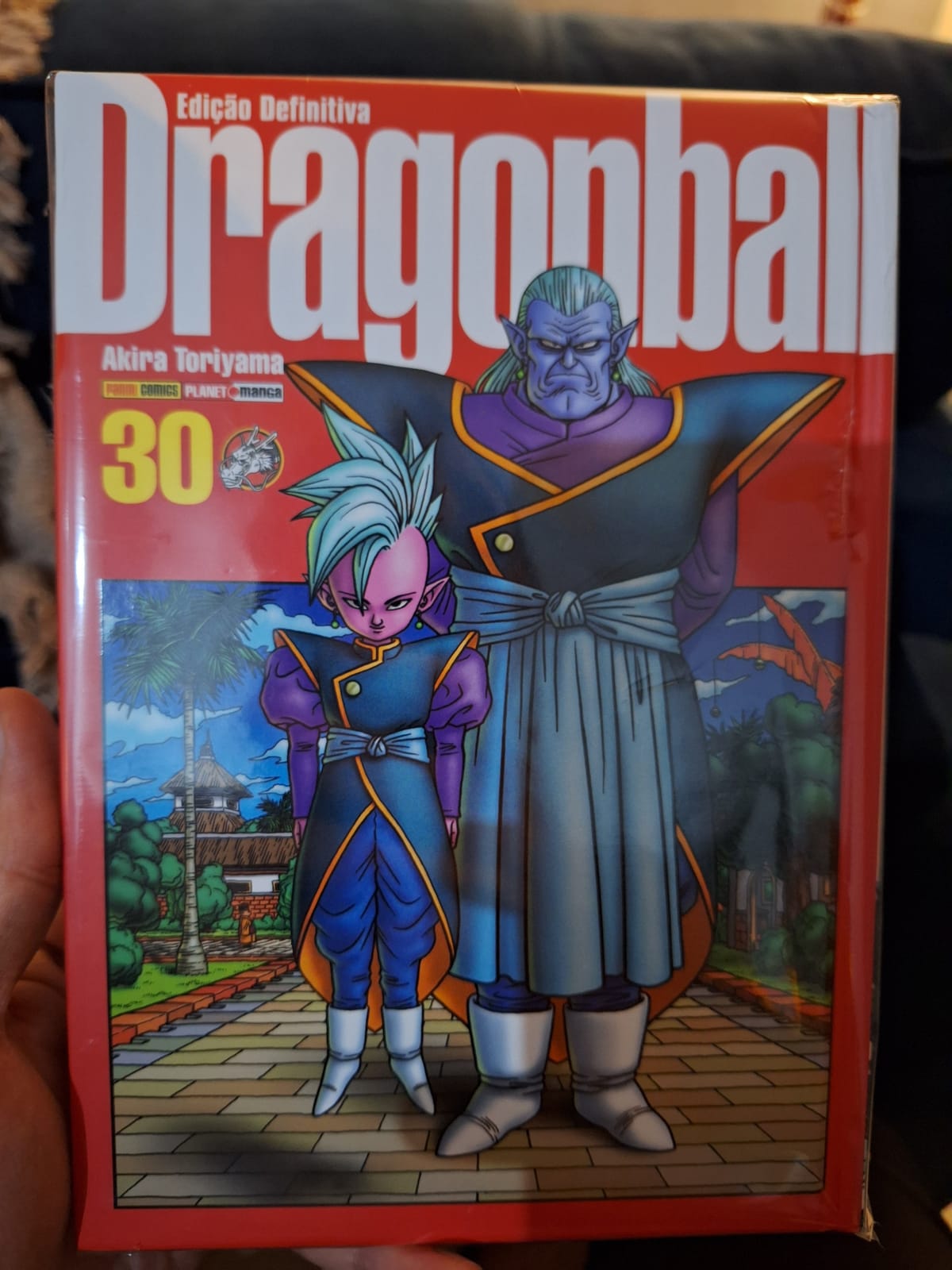 Dragon Ball Vol 30  - Edição Definitiva